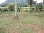 Land for Sale in Pokunuwita Horana