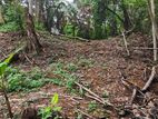 Land For Sale in Pokunuwita, Weligampitiya (SSPL-324)