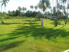 Land for Sale in Polgahawela D03