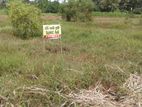 Land For Sale In Polgahawela