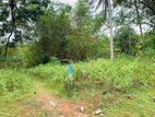 Land for Sale in Polgahawela