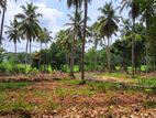 Land for Sale in Polgahawela