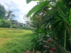 Land for sale in Polgahawela