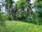 Land For Sale In Polgahawela