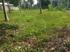 Land for Sale in Polgahawela ibulgasdeniya