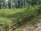 Land for Sale in Polgahawela Ibulgasdeniya