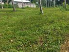 Land for Sale in Polgahawela Ibulgasdeniya