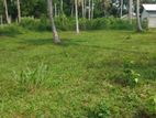 Land for Sale in Polgahawela Ibulgasdeniya