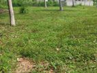 Land for Sale in Polgahawela Ibulgasdeniya
