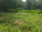 Land for Sale in Polgahawela Ibulgasdeniya