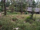 Land for sale in Polgahawela (SSPL-284)