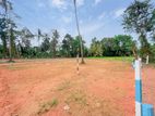 Land For Sale In Polgahawela,T46