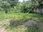 Land for sale in Polgasowita