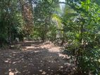 Land for Sale in Polgasowita