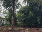 Land for Sale in Polgasowita