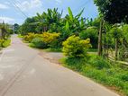 Land for sale in Polgasowita (SSPL-194)