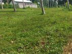 Land for Sale in Polghawela