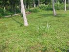 Land for Sale in Polghawela