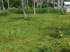 Land for Sale in Polghawela