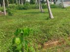 Land for Sale in Polghawela