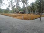 Land for Sale in Polghawela