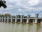 Land For Sale in Polgolla Dam (near CIS College)
