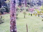 Land for Sale in Polgolla, Kandy