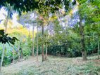 Land for sale in Polgolla, Kandy (TPS2159)