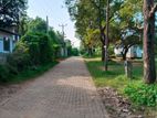 Land For Sale in Polonnaruwa - CL683