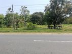 Land for Sale in Polonnaruwa