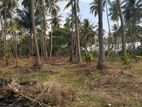 Land for Sale in Polonnaruwa