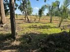 Land For Sale In Polonnaruwa