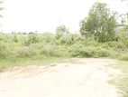 Land for Sale in Polonnaruwa Town 20 Perches 2 Blocks of 10