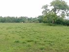 Land for Sale in Poonagari, Thambirai