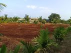 Land for Sale in Poovarasankulam Vavuniya