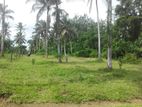 Land for Sale in Poruwadanda