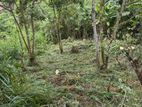 Land for Sale in Poththapitiya Manikdiwela