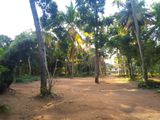 Land for Sale in Pothuhera - 1267