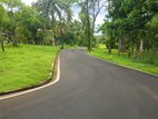 Land For Sale In Pothuhera - 226