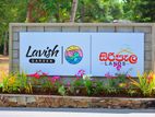 Land for Sale in Pothuhera