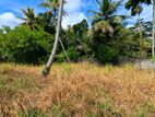 Land for sale in Pothuhera