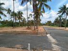 Land For Sale In Pothuhera - P5