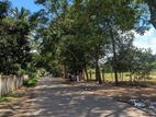 Land for Sale in Prime Negombo Location - Kurana