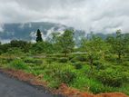 Land for Sale in Pudaluoya