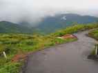 Land for sale in Pudaluoya
