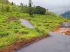 Land for Sale In Pudaluoya