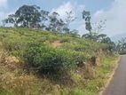 Land for sale in Pudaluoya