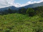 Land for Sale in Pudaluoya