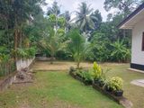 Land for Sale in Pugoda
