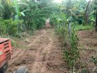 Land for sale in pugoda